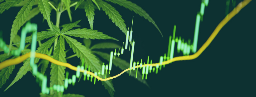 Top Cannabis Stocks to Watch Out For