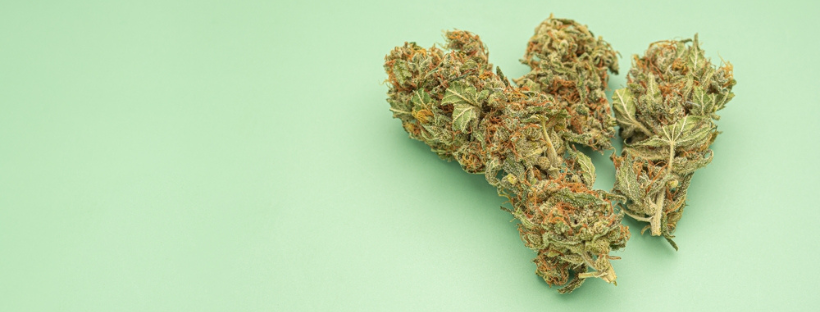 Find The Right Type Of Cannabis For Your Needs
