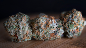 How to Choose the Best Marijuana Strain for Pain