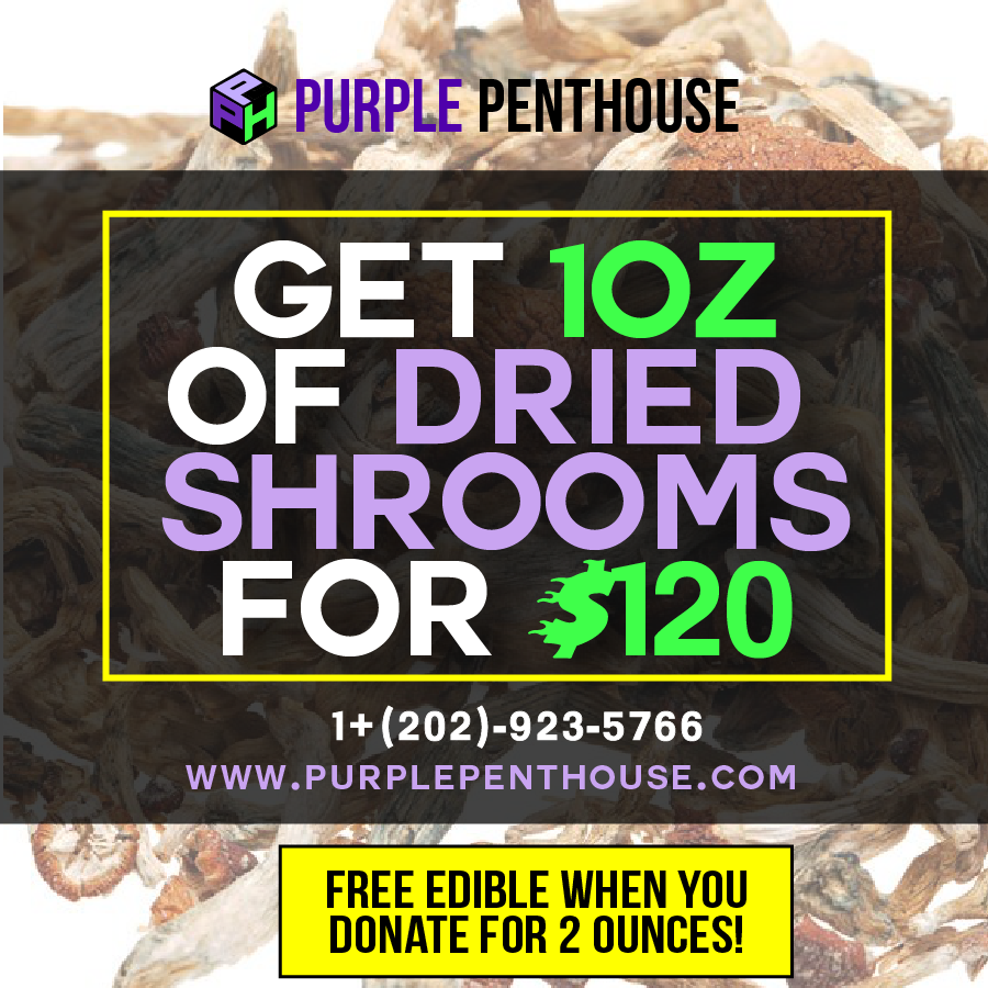 420 SPECIALS - Purple Penthouse