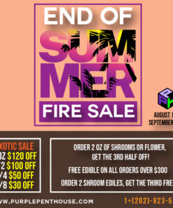 End of Summer Sale
