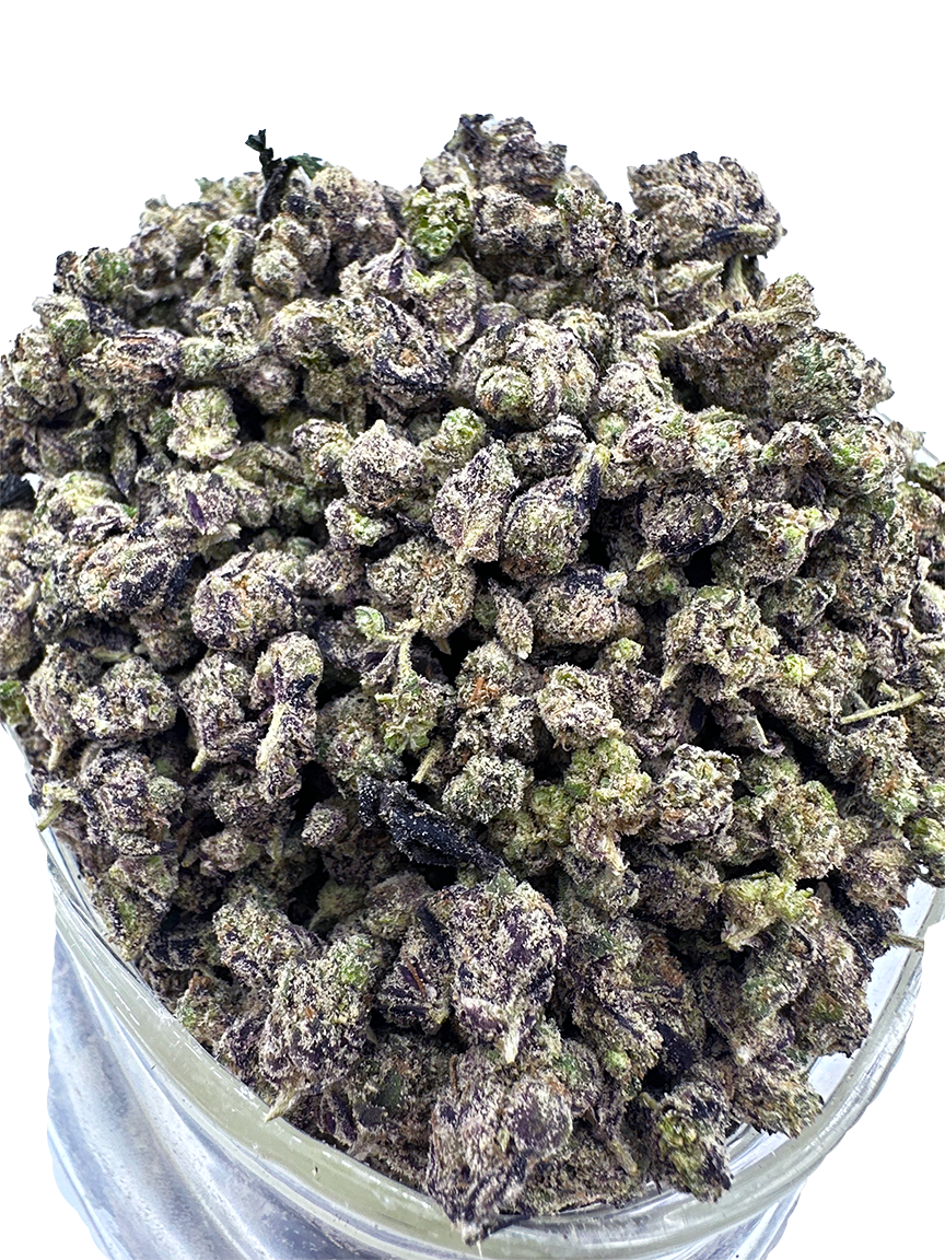 Gelato Cake PEV Seeds DE on Vimeo