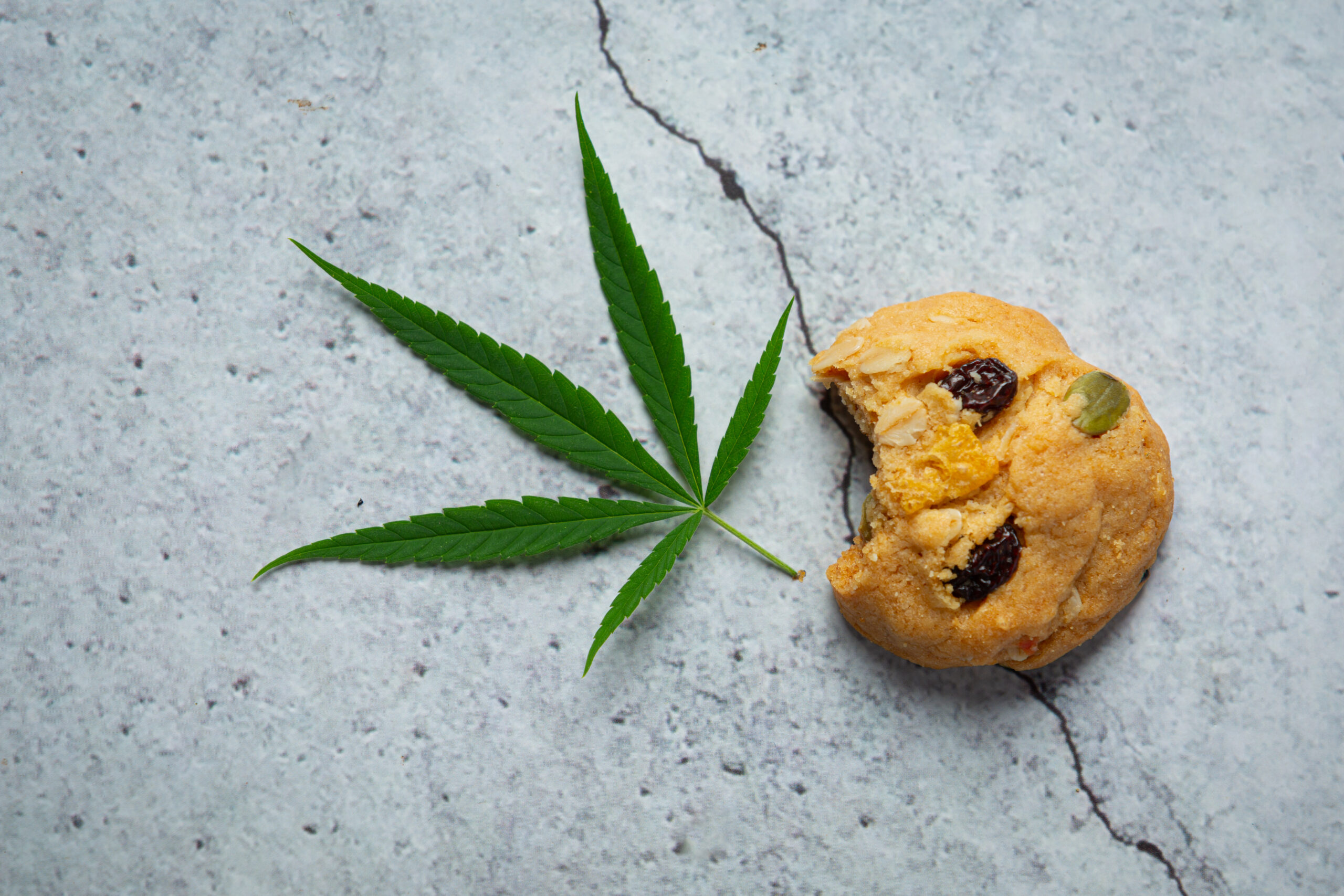 cannabis cookie